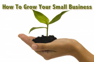 How to grow your small business